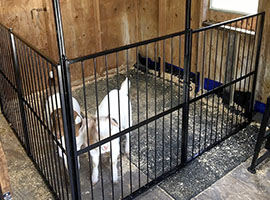 Goat Stalls